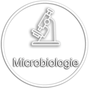 microbiologie-300x297