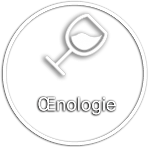 oenologie-300x297